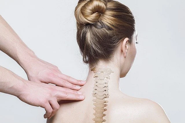 Spinal cord (Representational Image)