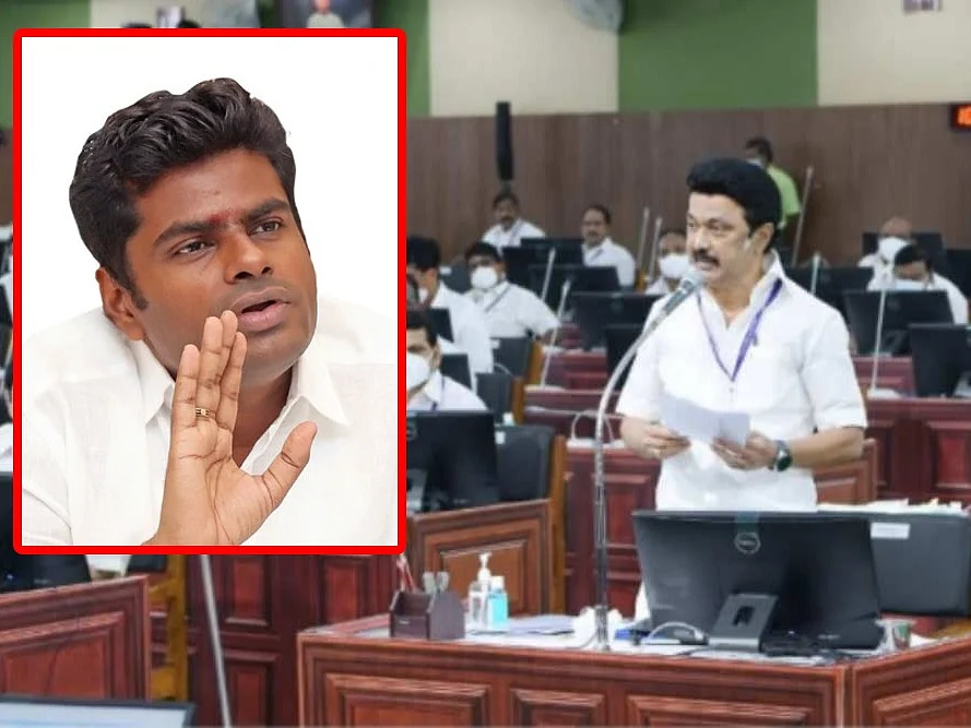 நீட் தேர்வு விவகாரம்: அண்ணாமலையின் 'லாஜிக்' எந்த அளவுக்குச் சரி? - ஓர் அலசல் ரிப்போர்ட்!