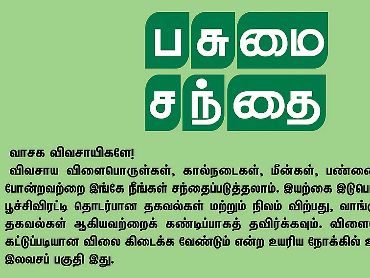 பசுமை சந்தை