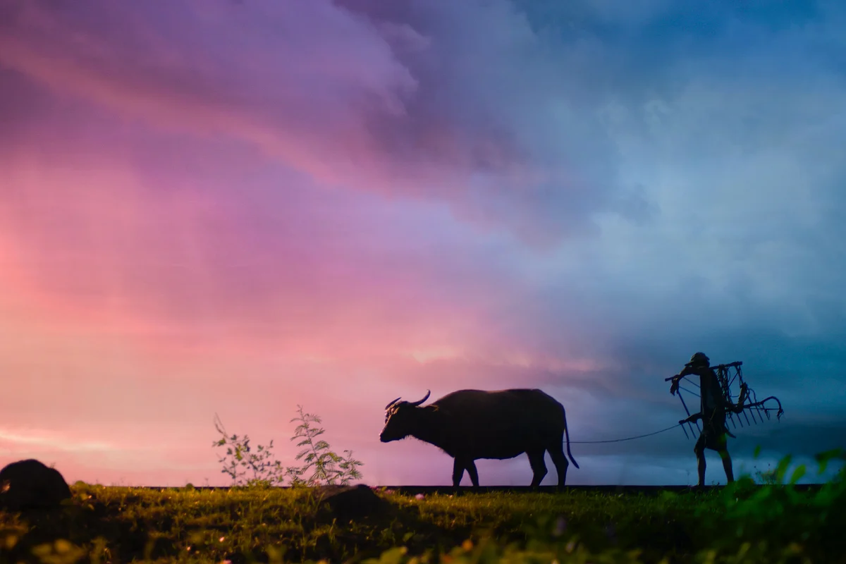 Representational Image
