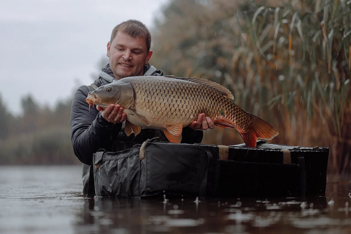 Ghol Fish (Representational Image)