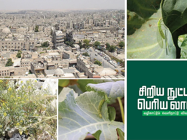 உயிரியல் பூச்சிக் கட்டுப்பாடு!எளிய தொழில்நுட்பம்... ஏராளமான நன்மைகள்!