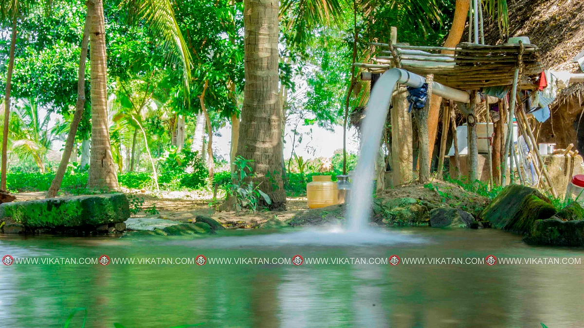 விவசாய மின் இணைப்பு