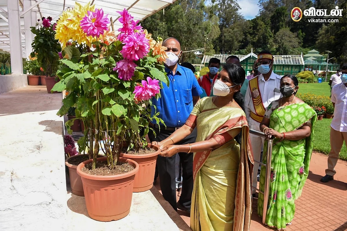 ஊட்டி அரசு தாவரவியல் பூங்கா