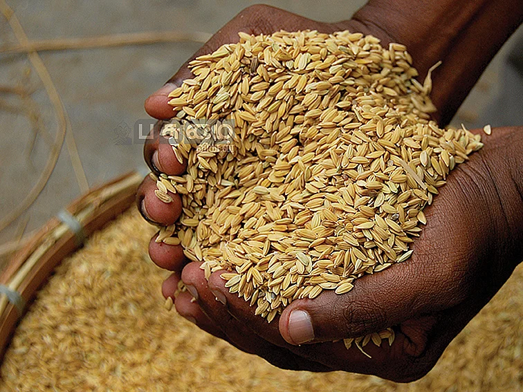 பாரம்பர்யம் பேசிய
நெல் திருவிழா!