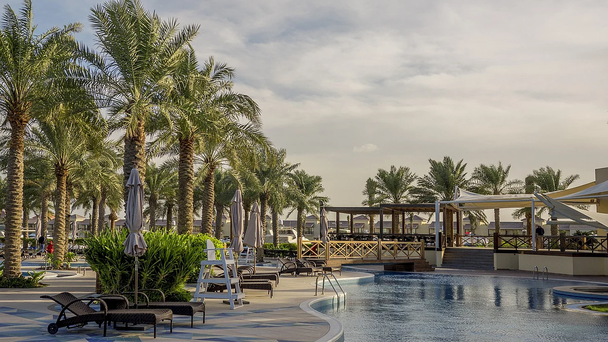 Bahrain palm tree