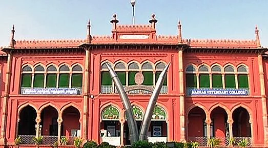 கால்நடை மருத்துவக் கல்லூரி