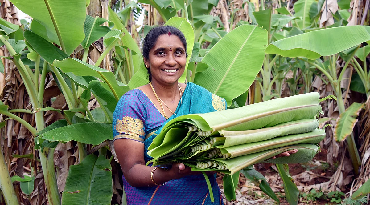 ராஜேஸ்வரி