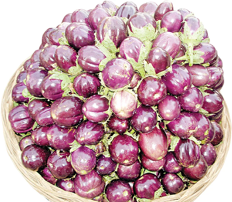 கத்திரிக்காய்