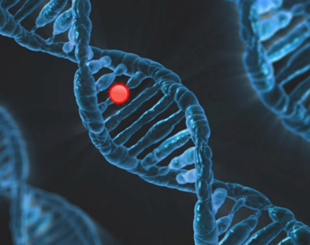 DNA