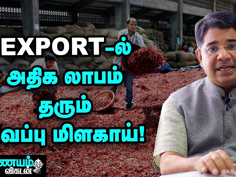 மிளகாய் ஏற்றுமதி; கவனிக்க வேண்டிய விஷயங்கள் என்னென்ன? | Chilli Export | Nanayam Vikatan
