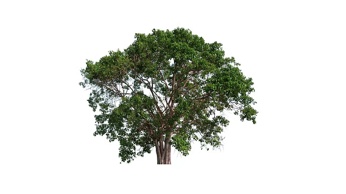 அனுபவங்கள் ஆயிரம்!