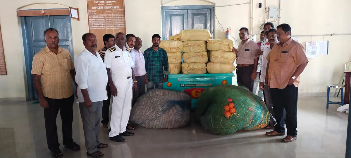 கஞ்சா