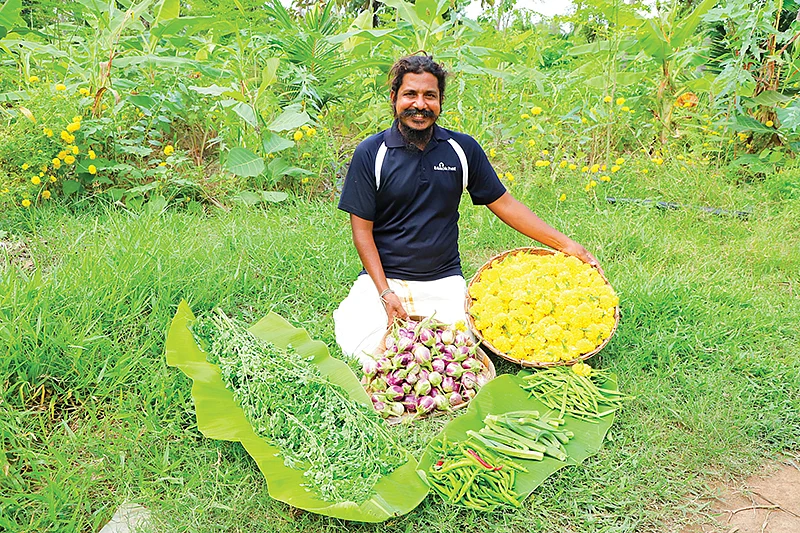 அறுவடையான காய்கறிகளுடன் சசிக்குமார்