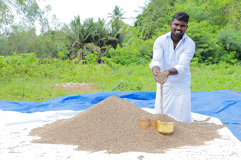 கருங்குறுவை நெல்