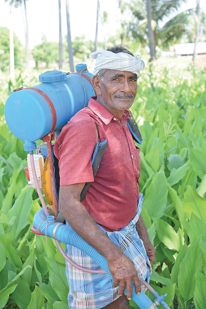 செல்லமுத்து