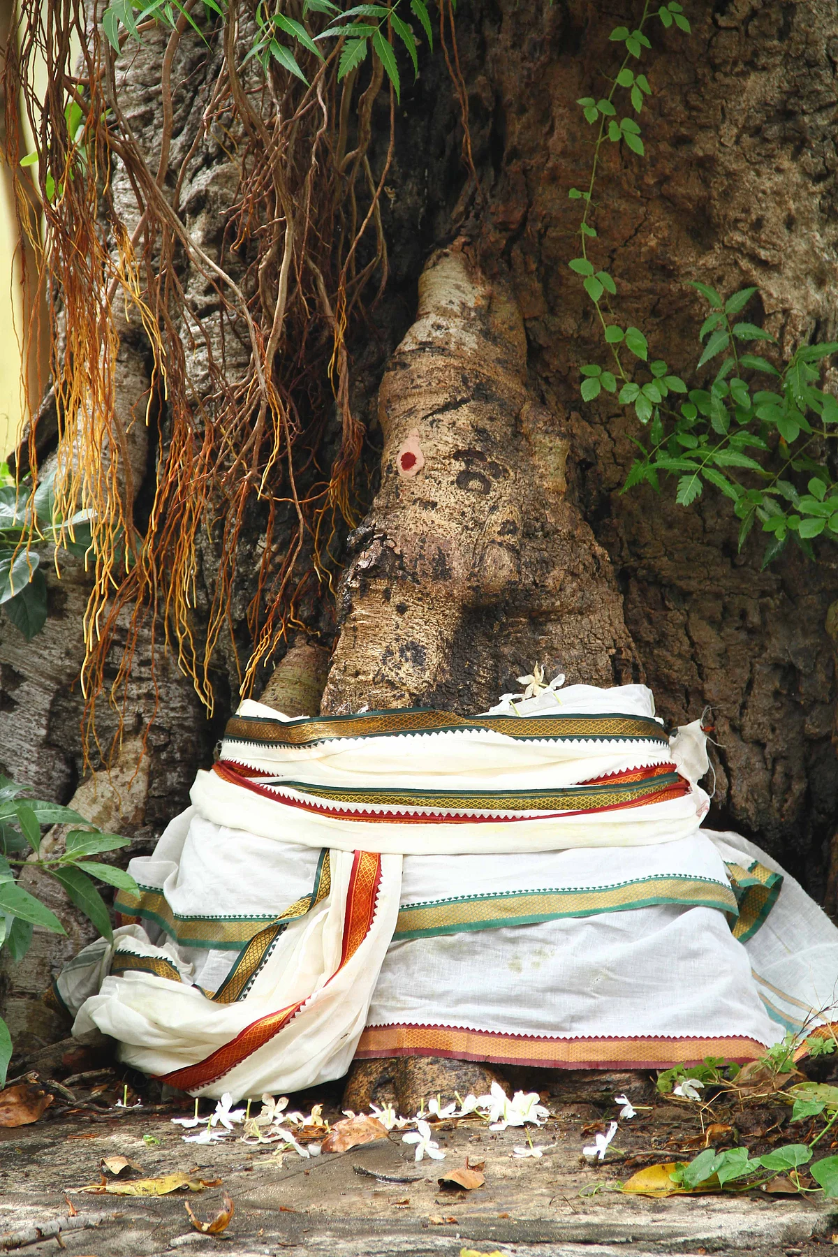 சுயம்பு கணபதி
