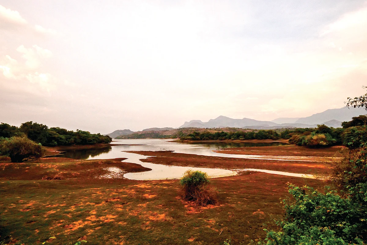 Deep into the forest of Amaravati