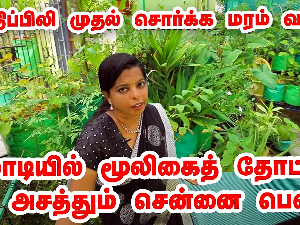 ஜெயஶ்ரீ கிருஷ்ணன்