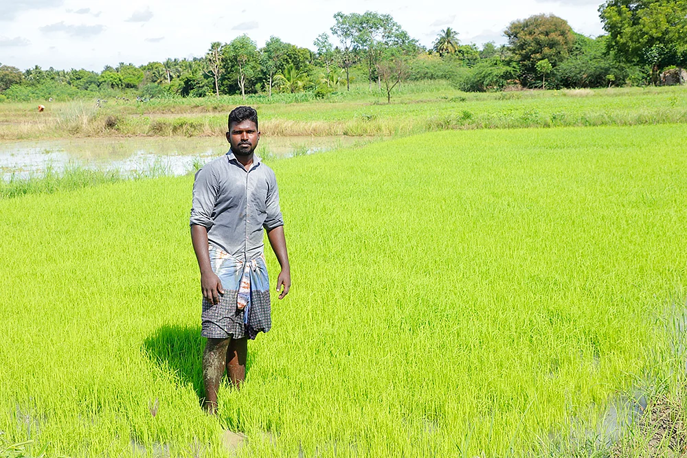 நாற்று வயலில் ராஜ்குமார்