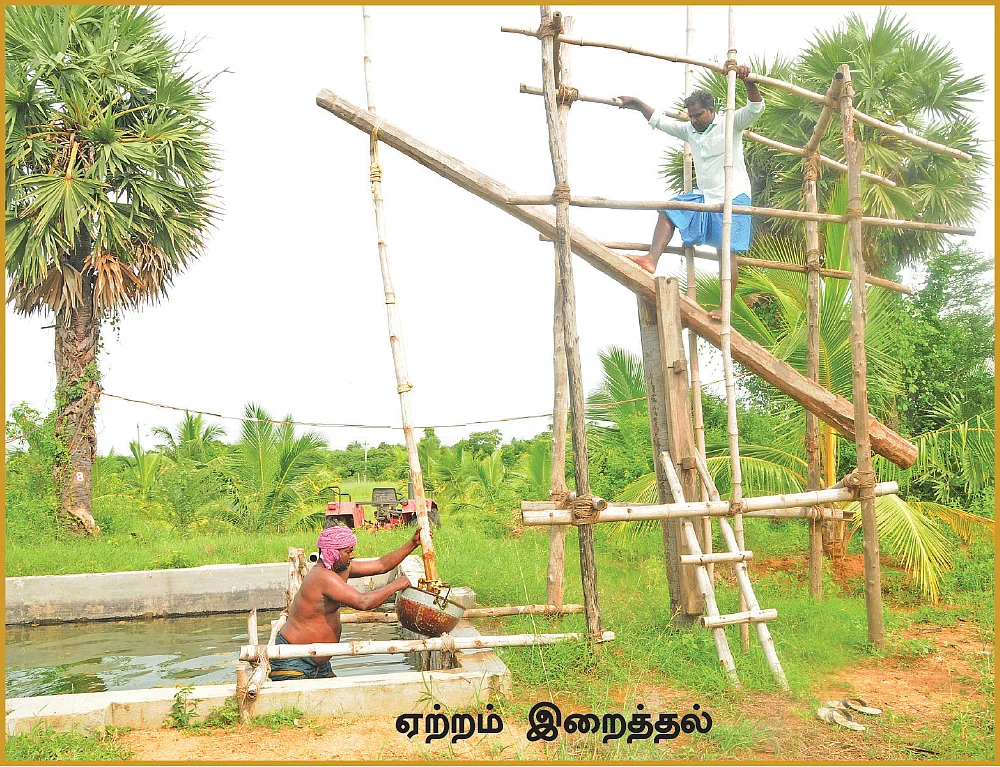 கிராமத்து வாழ்க்கையை கற்றுத் தரும் கிளார்!