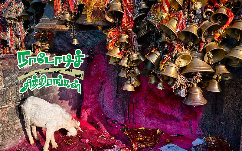நாடோடிச் சித்திரங்கள்