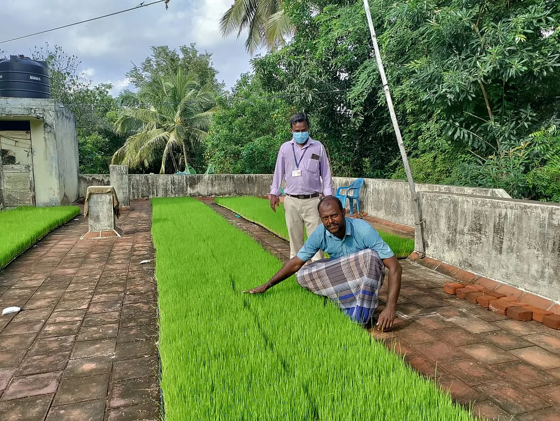 மாடியில் நாற்றங்கால்