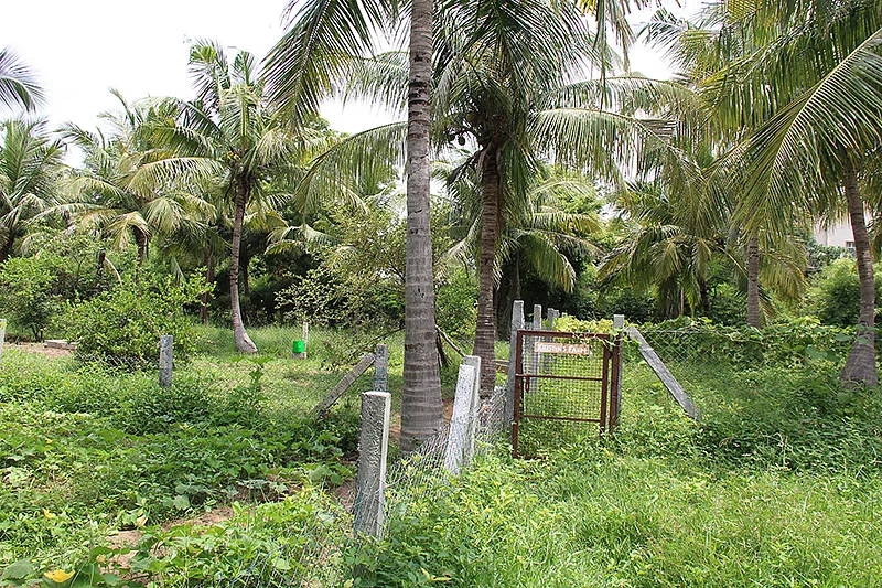 சமூகப் பண்ணை