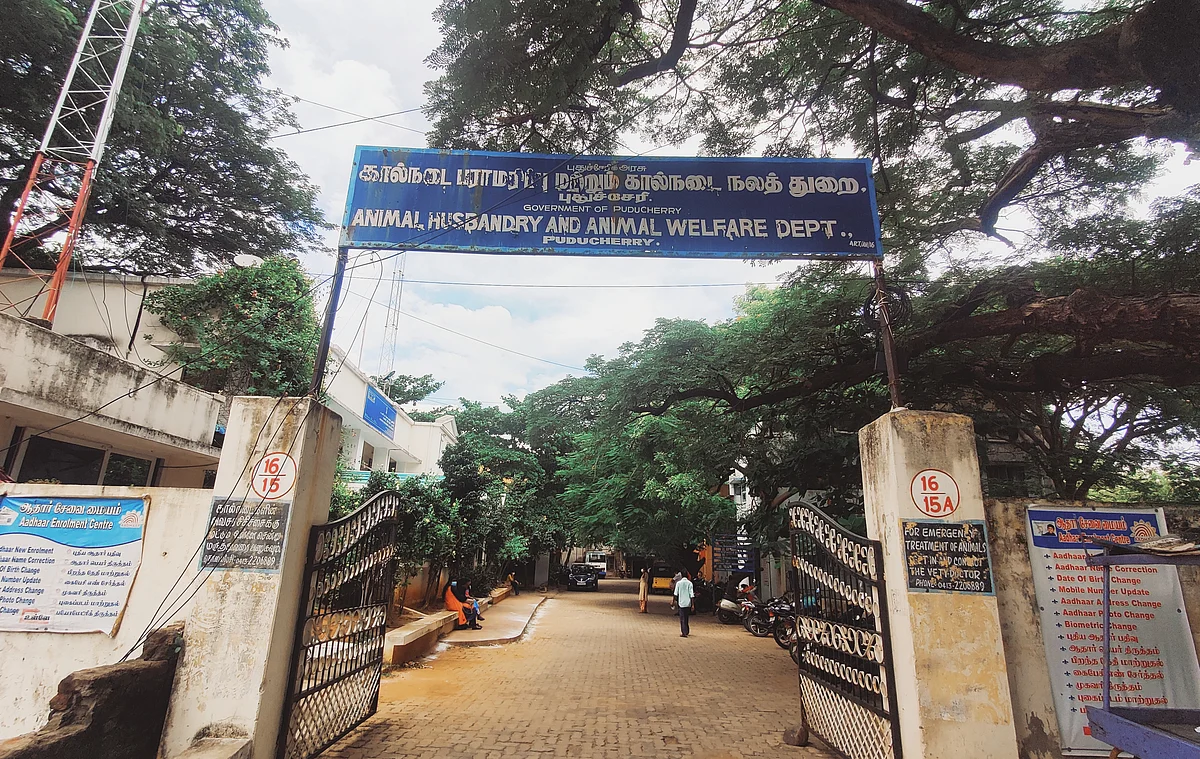 புதுச்சேரி கால்நடை பராமரிப்புத் துறை