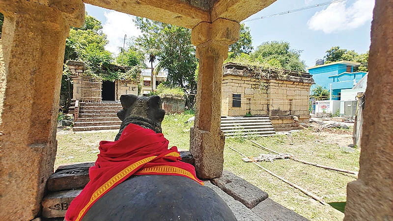 அரசின் அலட்சியம்...
சிதைந்து வரும் சிவாலயம்!