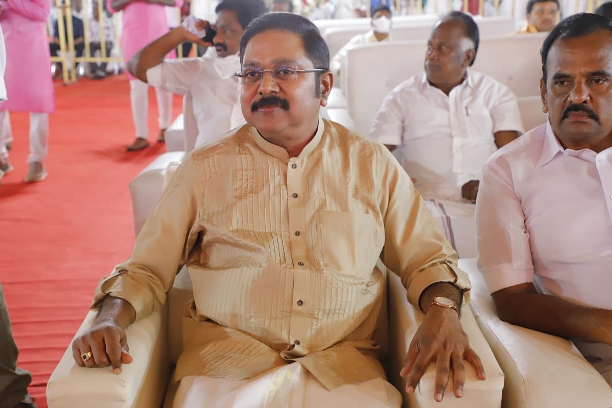 `மனதில் பட்டதை துணிந்து பேசியிருக்கிறார்!’ - ஓ.பி.எஸ் கருத்துக்கு டி.டி.வி தினகரன் ஆதரவு