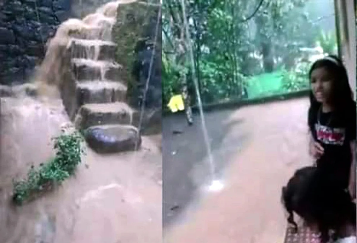 விடியோ