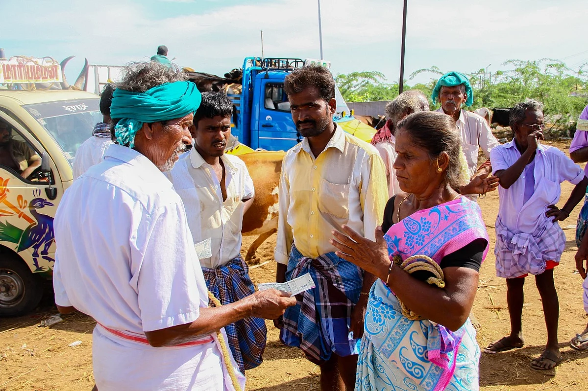 மாடு விற்பனை