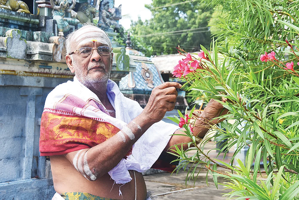 `சிவம் எனும் பெருஞ்செல்வம்!'