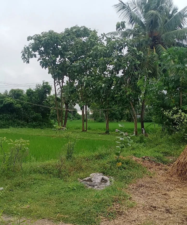 வயல்வெளி பகுதியில் கிடக்கும் ஐயனார் சிற்பம்