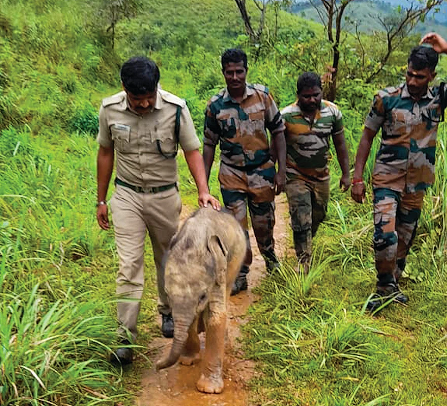 இன்பாக்ஸ்