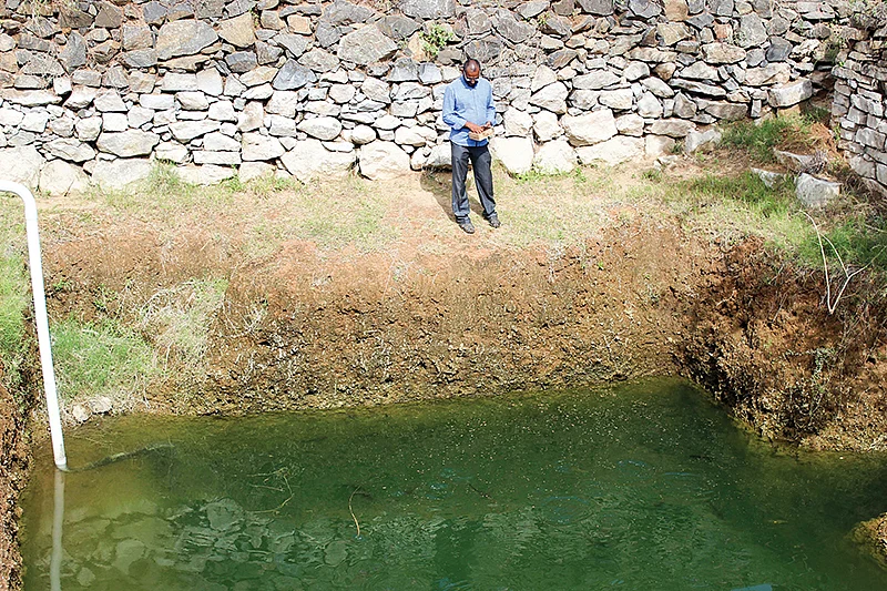 மீன் வளர்ப்பு