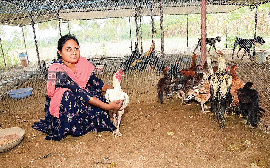 கோழிகளுடன் கவிதா