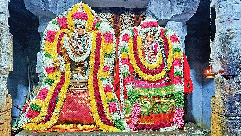 விருட்ச வடிவில் பிருங்கி முனிவர்!