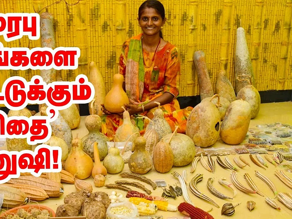 ``கொரோனாவால் வேலை இழந்ததும் முழுநேரமா விதை சேகரிப்பில் இறங்கிட்டேன்!" - ஆச்சர்யமூட்டும் `விதை' மனுஷி