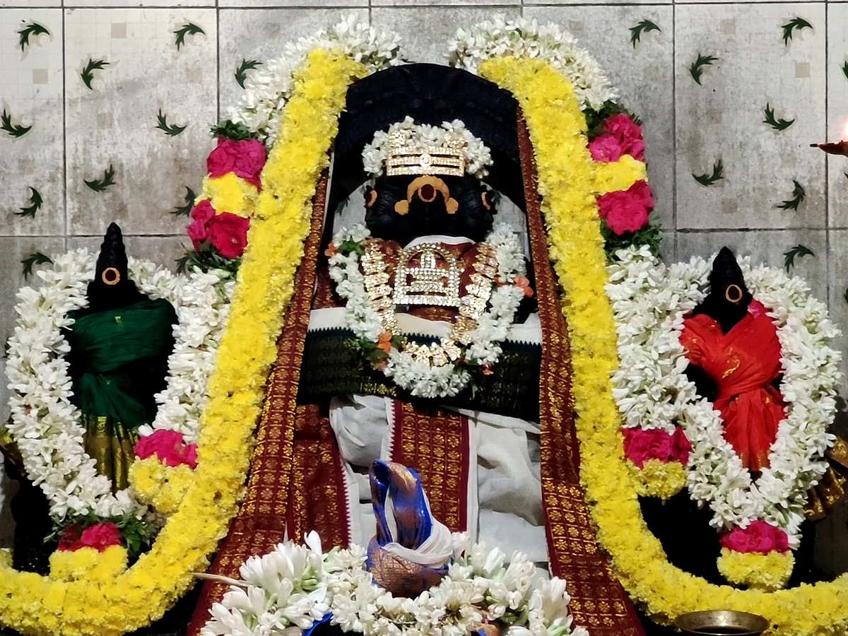 கந்தசஷ்டி: திருத்தணியலில் நடைபெறும் மஹாஸ்கந்த ஹோமம்... இதனால் கிடைக்கும் 6 வகை பலன்கள் என்னென்ன?