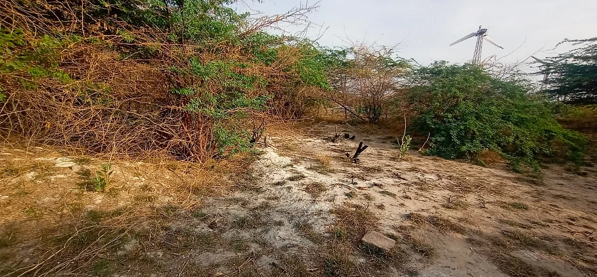 என் கவுன்டர் செய்யப்பட்ட காட்டுப்பகுதி