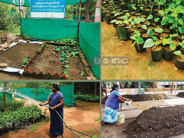 இலவச மரக்கன்றுகள், மாடித்தோட்டங்களுக்கு பரிசு!அசத்தும் வத்தலக்குண்டு பேரூராட்சி!