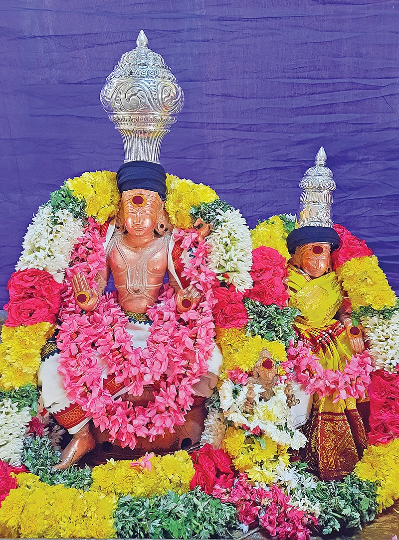 விருட்ச வடிவில் பிருங்கி முனிவர்!