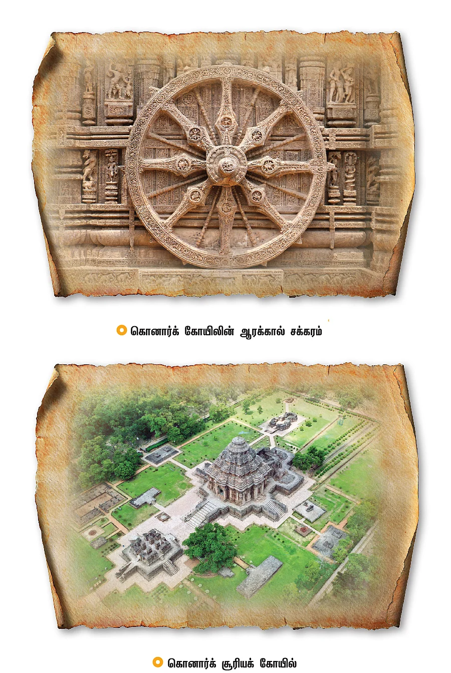 தமிழ் நெடுஞ்சாலை - 29 - ஞாயிறு போற்றுதும்
