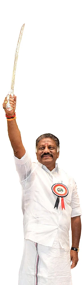 ஆளுக்காளு நாட்டாமை! - அட்டைக்கத்திப் போர்