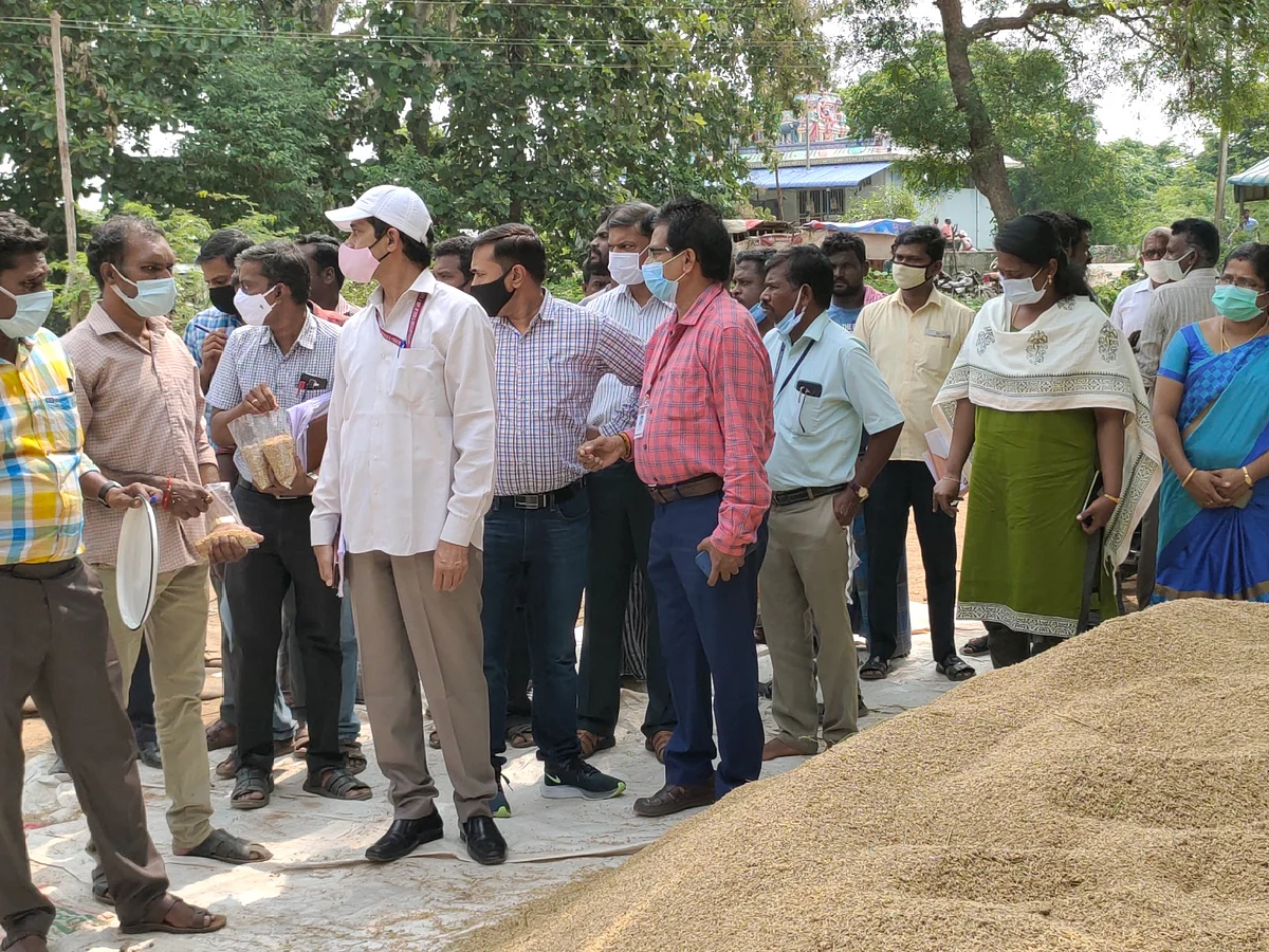 நெல் ஈரப்பதம் விவகாரம்: `மத்திய குழுவின் ஆய்வே ஒரு நாடகம்தான்!' - கொந்தளிக்கும் விவசாயிகள்