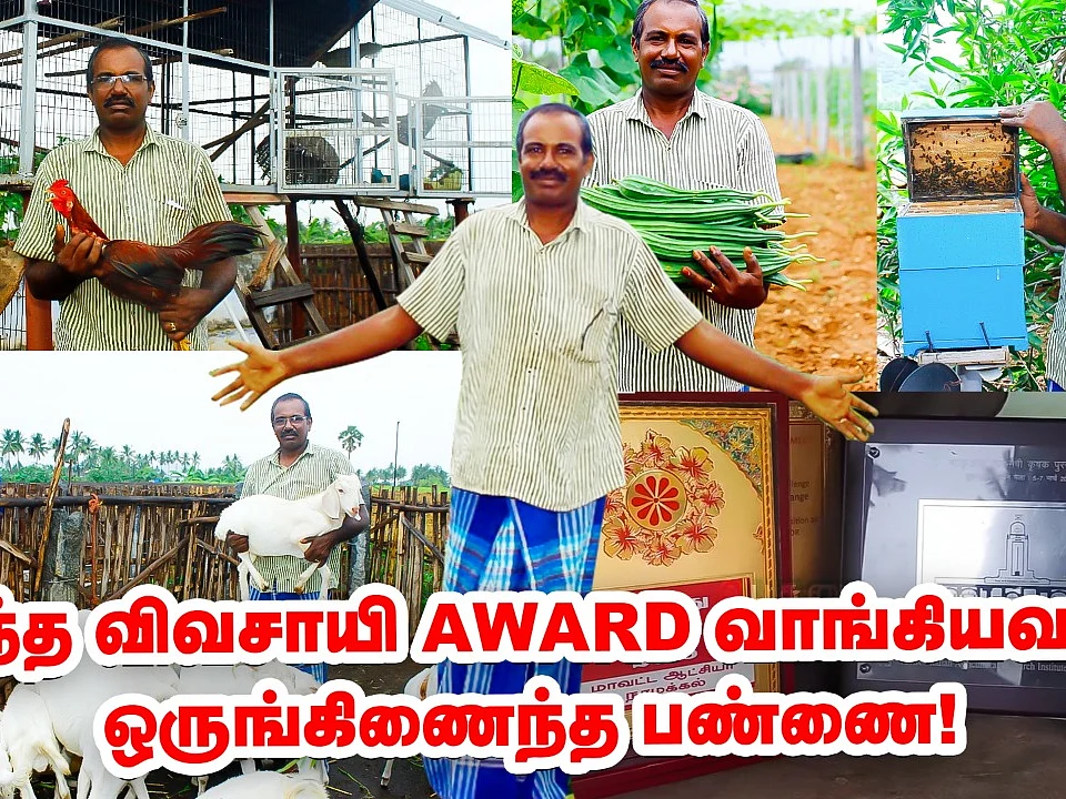 சரவணன்