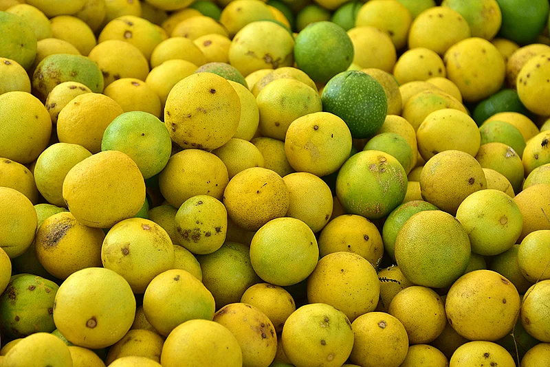எலுமிச்சைப் பழங்கள்