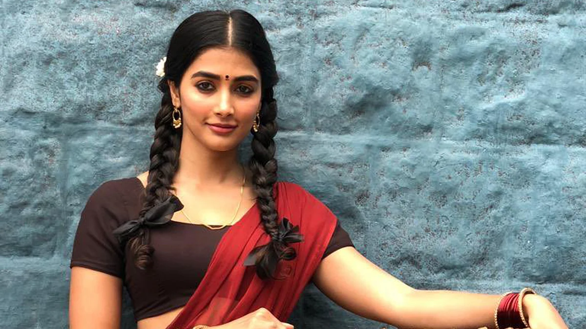 மிஸ்டர் மியாவ்